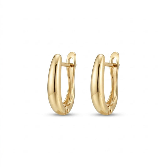 Gold Hoop Earrings - White Background